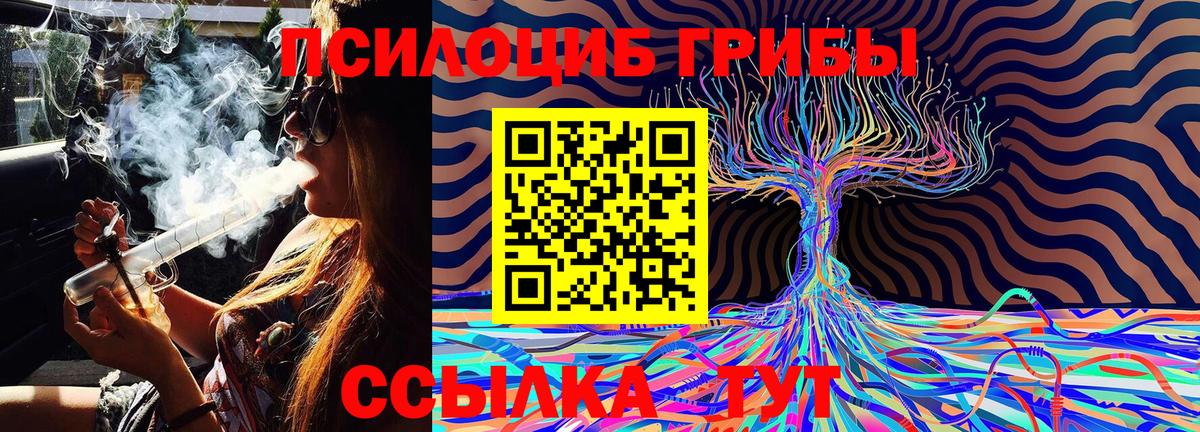 Медногорск  Галлюциногенные грибы Magic Shrooms  Вход с VPN 