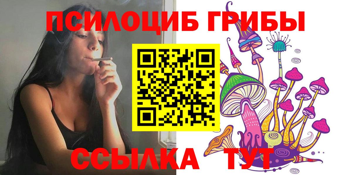 Псилоцибиновые грибы GOLDEN TEACHER Медногорск